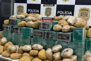 apreensão de drogas anhanguera