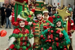 natal no shopping central park