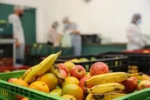 banco de alimentos osasco
