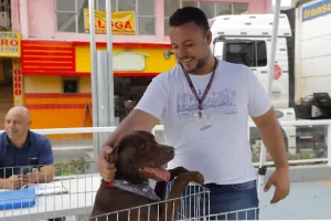 castração barueri
