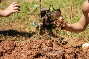 conferência meio ambiente cotia