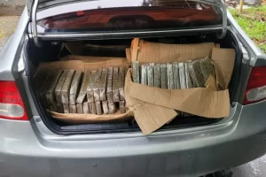 maconha porta-malas marginal tiete