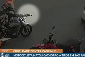 motociclista mata cachorro a tiros jandira