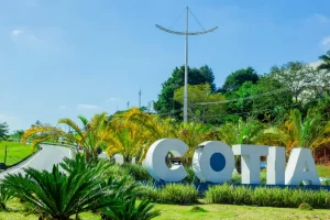 cotia
