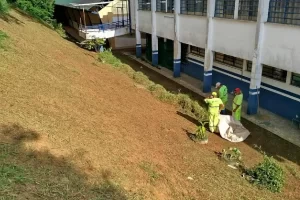 roçagem escolas cotia