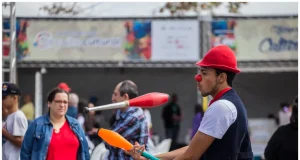 Inscrições para eleição do Conselho Municipal de Cultura Cotia