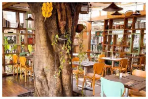 Os melhores restaurantes da Granja Viana