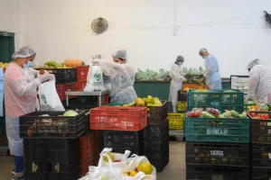 banco de alimentos osasco agricultura familiar