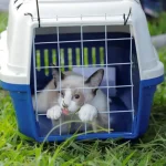 castração gratuita de pets em barueri