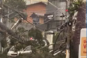 chuva são camilo cotia