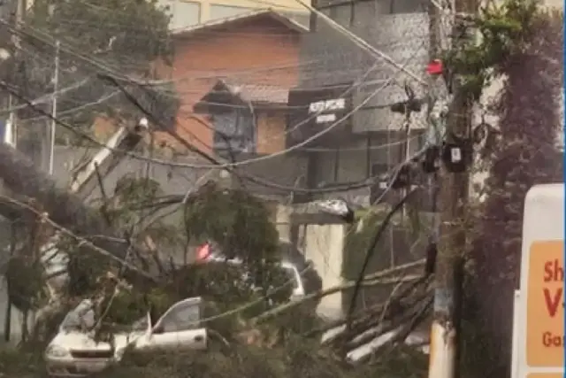 chuva são camilo cotia