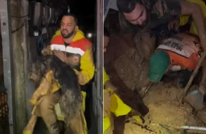 resgate de cachorro em embu das artes