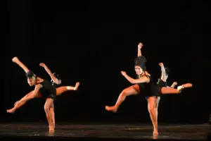 cisne negro cia de dança