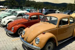 encontro de fuscas em são roque estrada do vinho