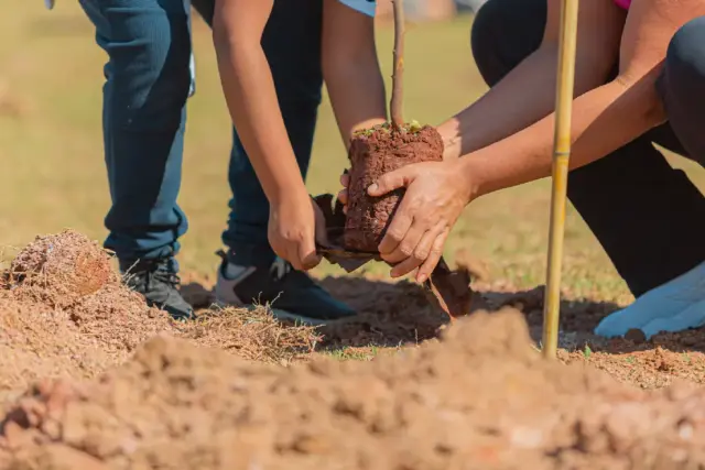 socioambiental itapevi