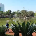 Parque Dom José Barueri caminhada