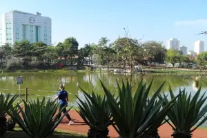 Parque Dom José Barueri caminhada