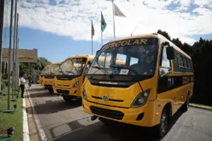 Transporte Escolar