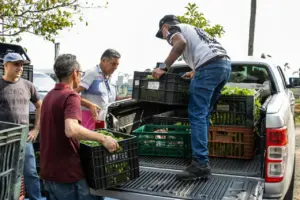 distribuição de alimentos itaqua