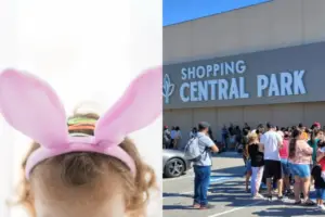 pascoa no shopping central park
