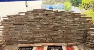 carga de maconha raposo tavares cotia