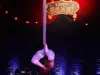 circo zanni