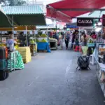feira cotia