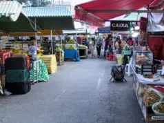 feira cotia