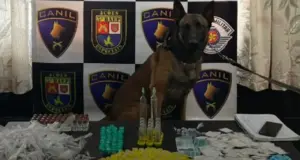 k9 drogas embu