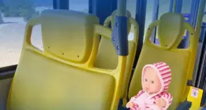 mãe de bebê reborn não tem direito a assento preferencial barueri e cotia