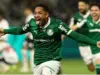 palmeiras barueri
