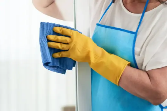 vagas auxiliar de limpeza