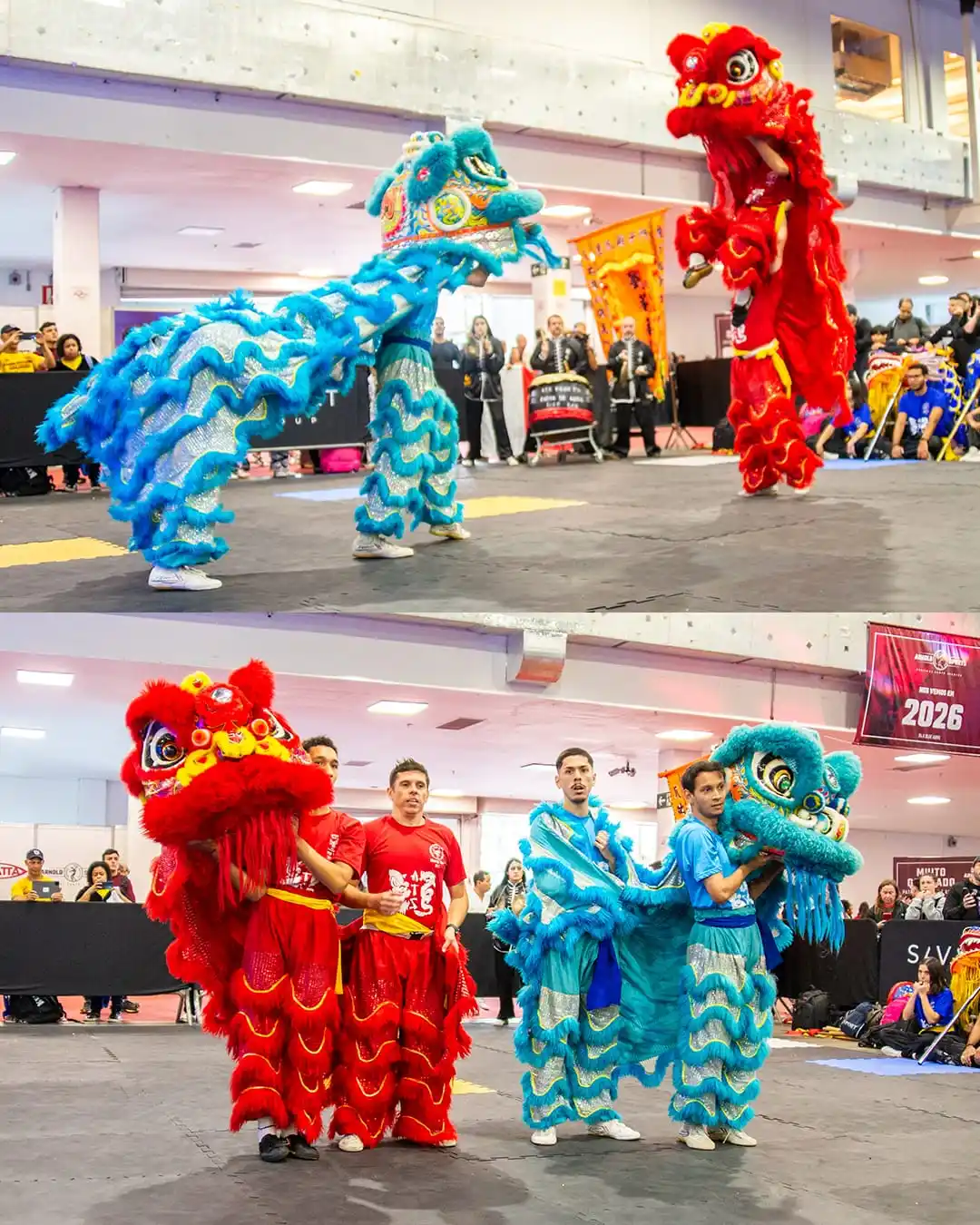 apresentacao dragao