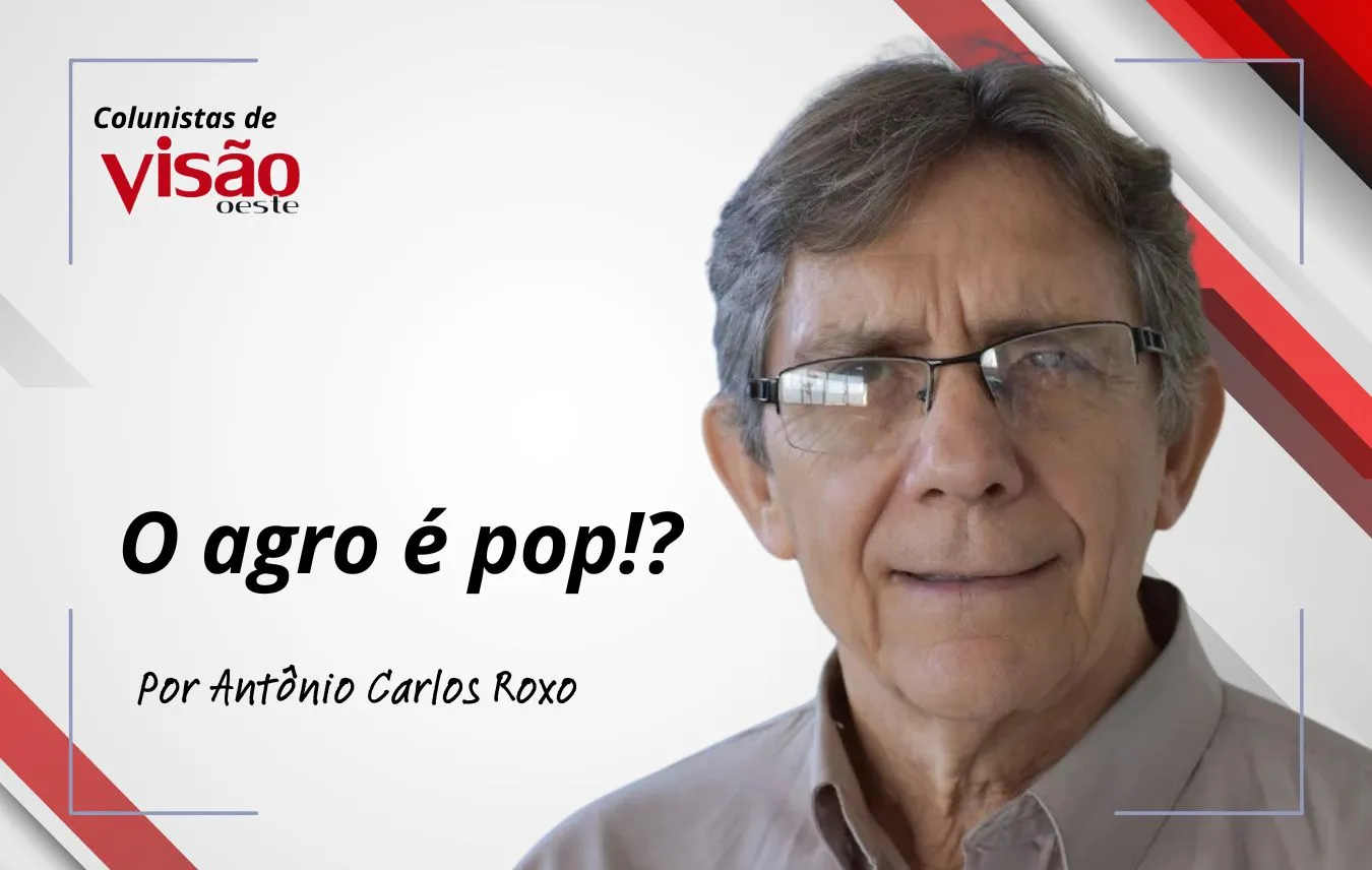 colunistas visão roxo o agro é pop