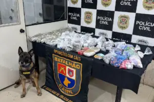 drogas parede2