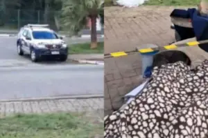 homem em situação de rua cotia