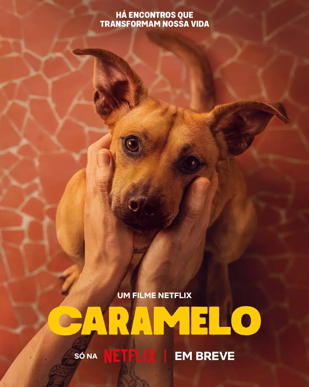 caramelo netflix poster