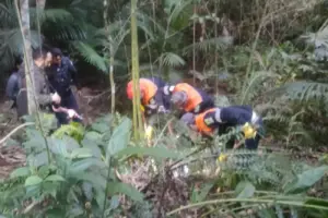 cemitério clandestino em cotia