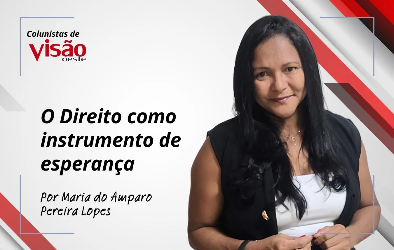 colunistas visão amparo o direito como instrumento de esperança