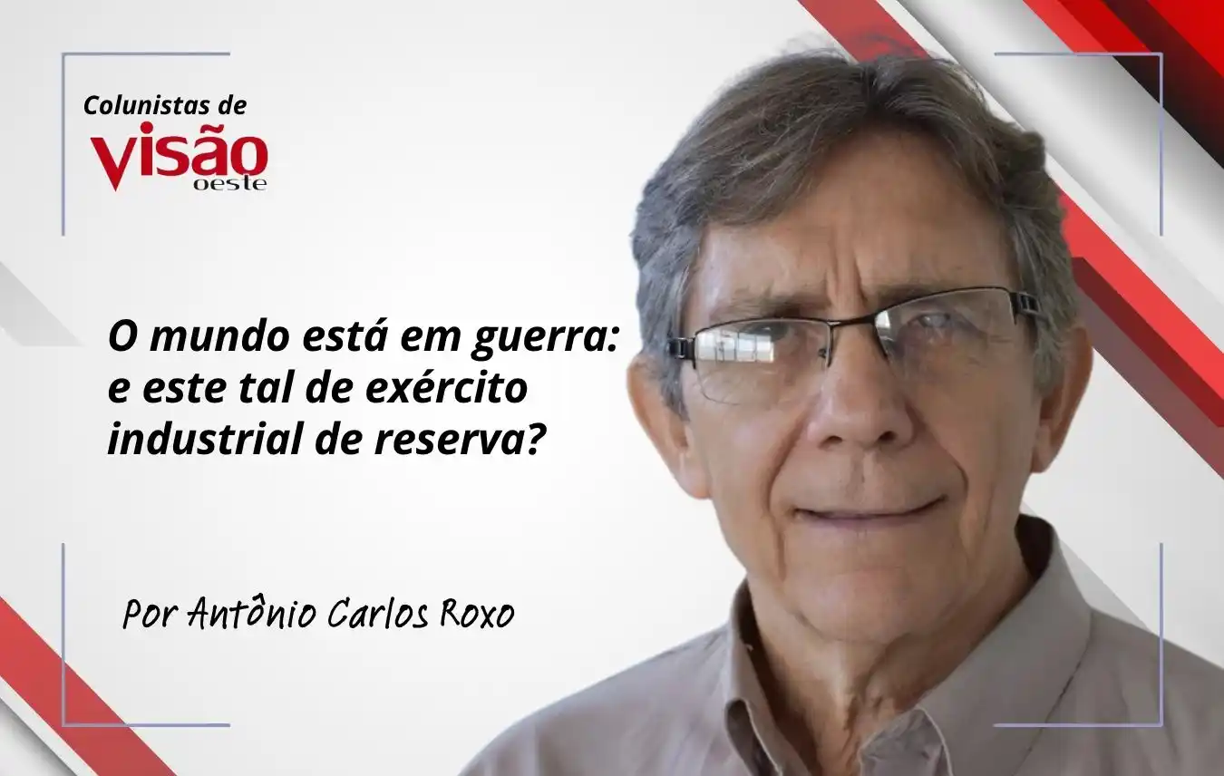 colunistas visão roxo