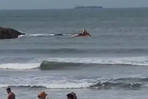 jovem de osasco no litoral