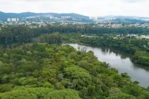 mata atlantica barueri