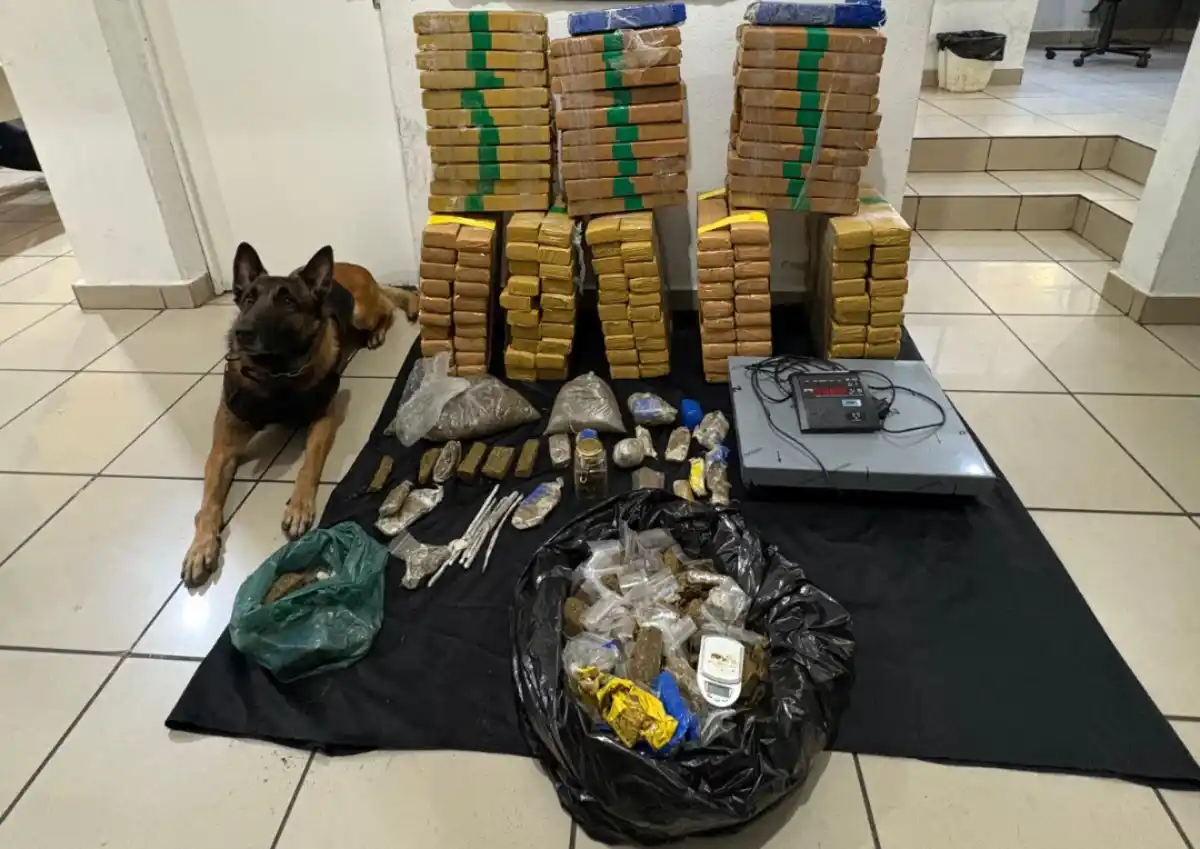 drogas apreendidas com ajuda de cao farejador na zona oeste de sp