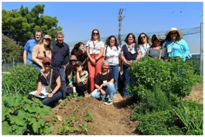 agricultura urbana em osasco