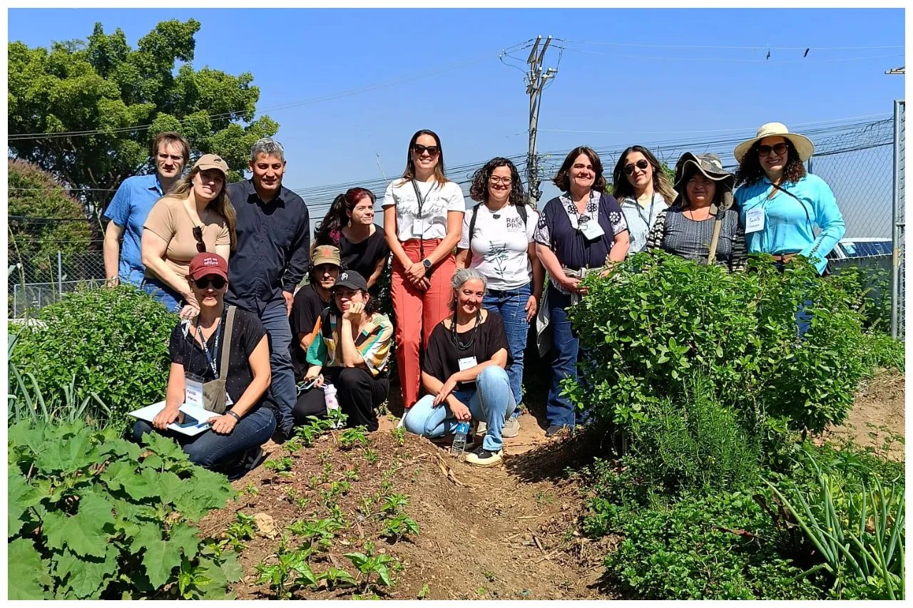 agricultura urbana em osasco