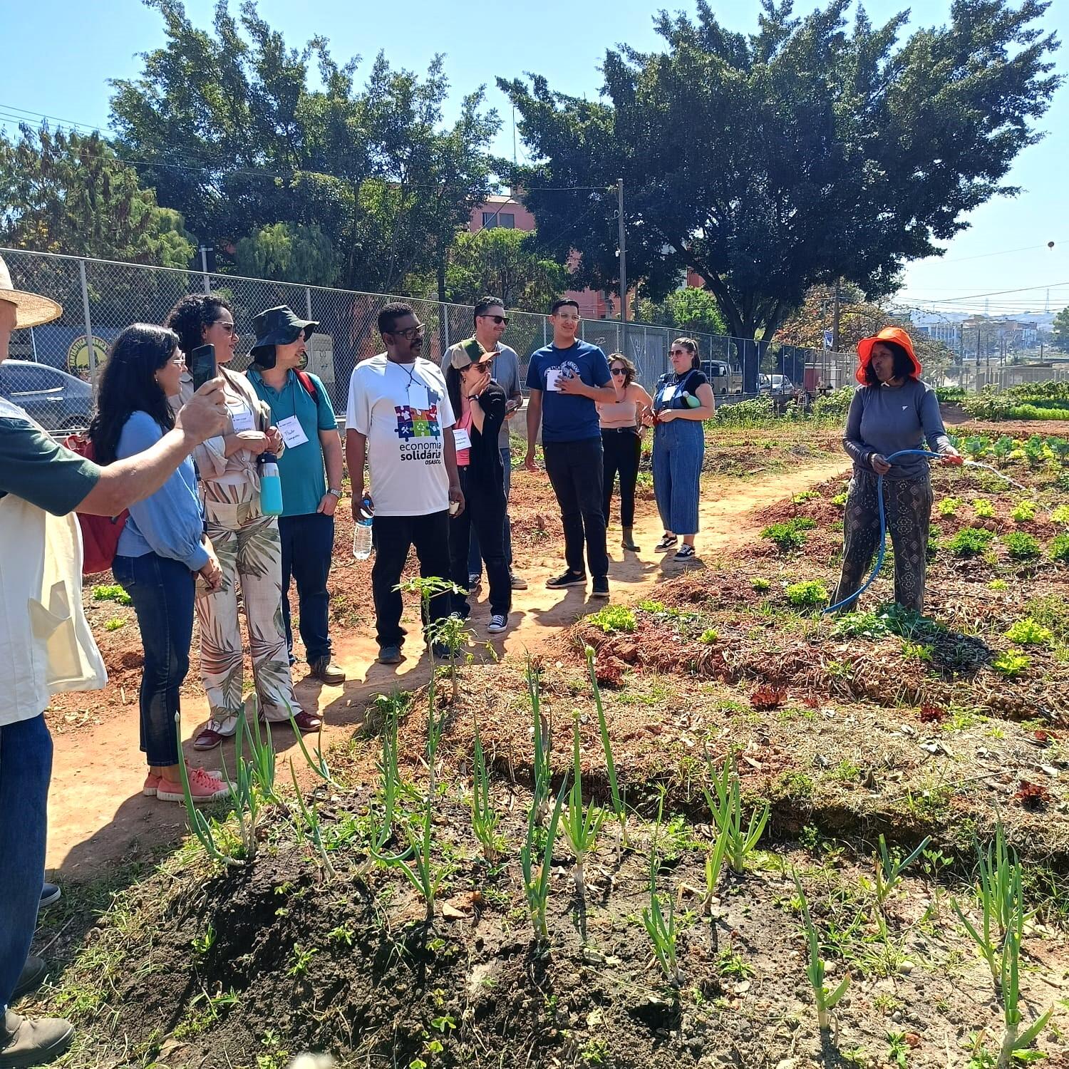agricultura urbana em osasco