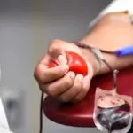 doacao de sangue 2 1 (1)