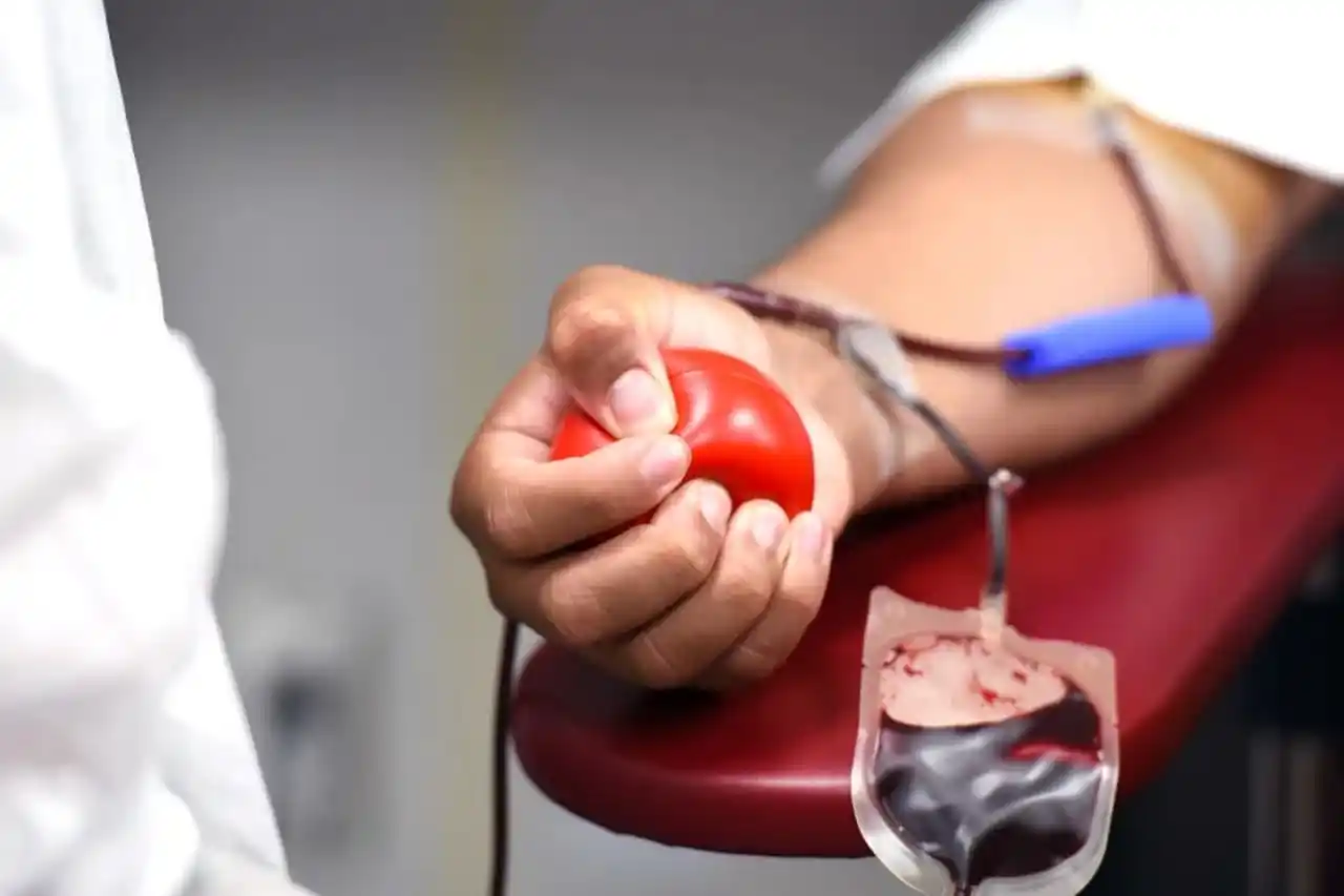 doacao de sangue 2 1 (1)