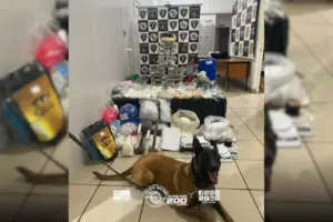 drogas osasco são paulo