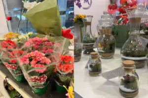 feira de plantas e flores em vargem grande paulista